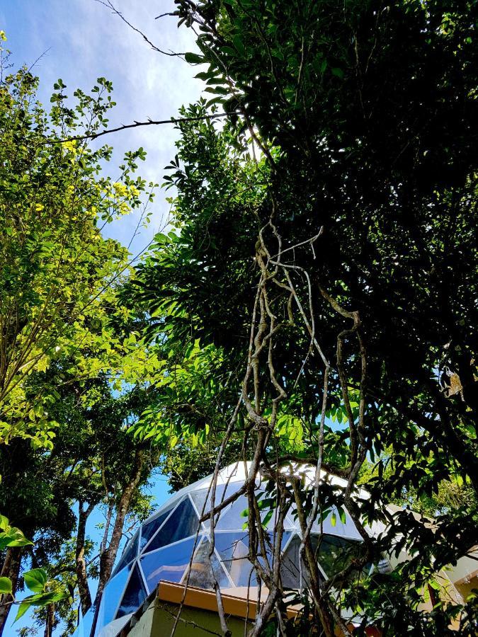 Chira Glamping Resort Monteverde 외부 사진