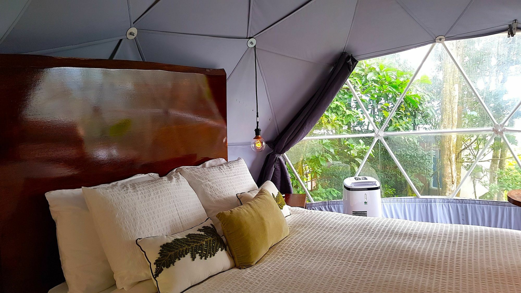 Chira Glamping Resort Monteverde 외부 사진