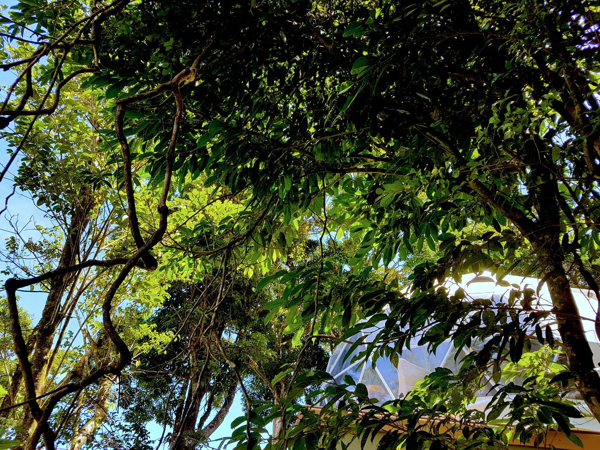 Chira Glamping Resort Monteverde 외부 사진