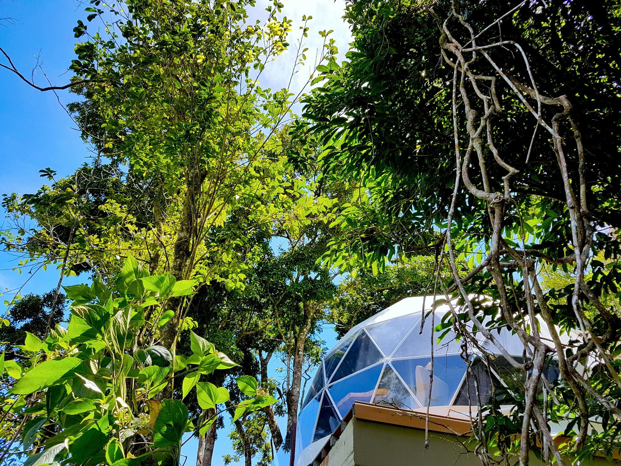 Chira Glamping Resort Monteverde 외부 사진